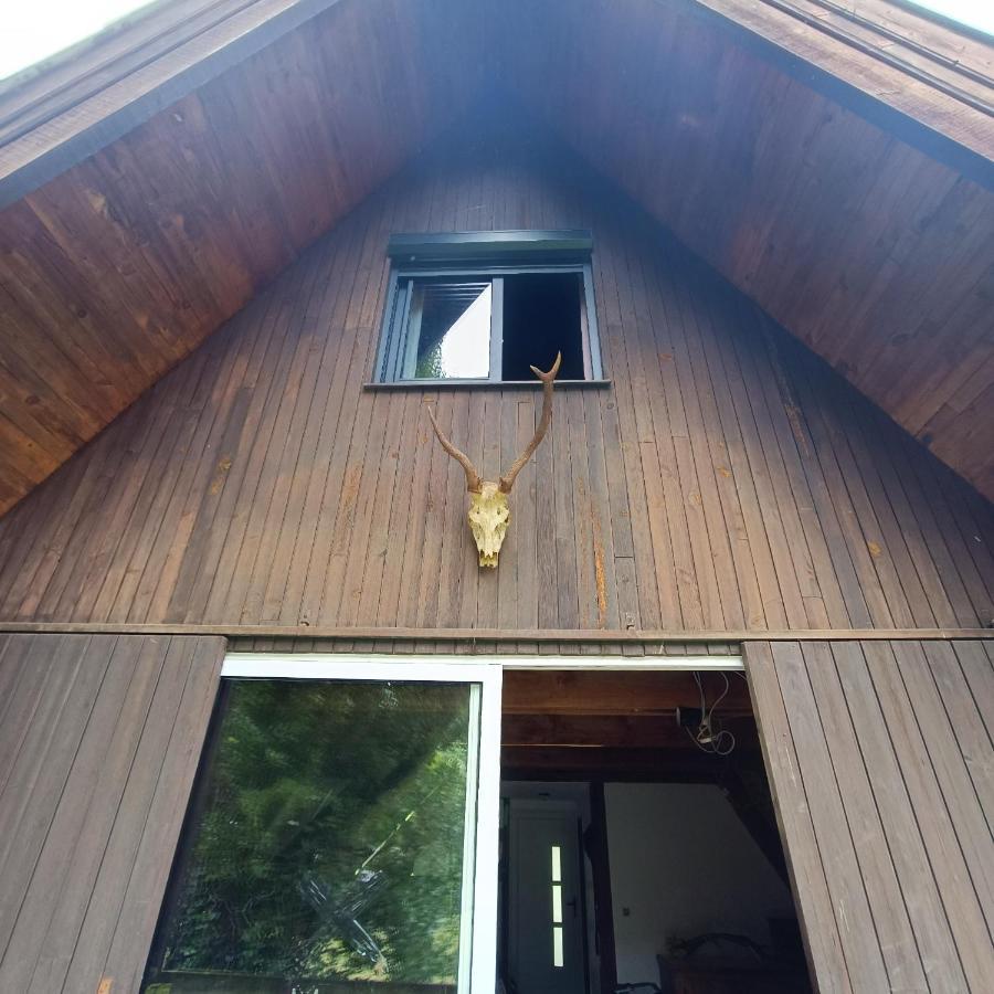 Cierp Chalet- Vallee De Luchon - Vallee De La Pique מראה חיצוני תמונה